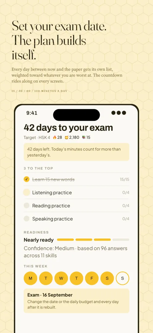 Set your exam date. The plan builds itself.